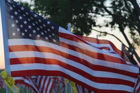Memorial Day Flag Usa