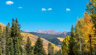 Picturesque forest with mountain views