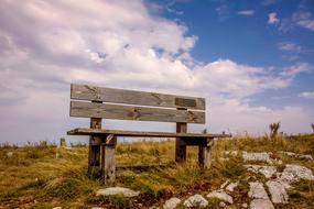 Nature Bench view