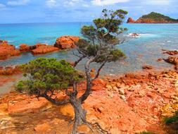 Sardinia Su Sirboni Sea