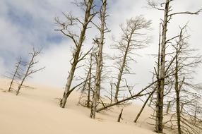 The Sand Dunes Åeba Holidays