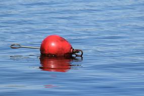 Buoy Perazzo Water