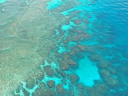 Great Barrier Reef Diving Coral