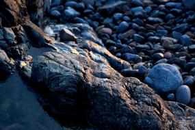 Beach Nature Ocean