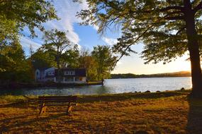 Sunset Tree Lake