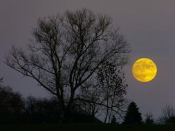 Moon Full Moonrise