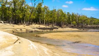 Saunders Beach Creek