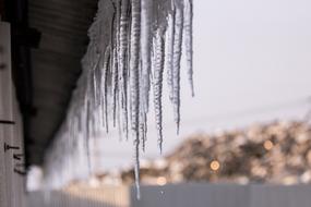 natural icicles