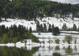 Nature Lake Spring