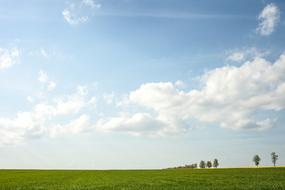 Summer Landscape Nature