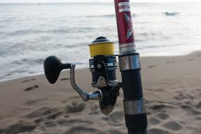 Fish Fishing Rod Line