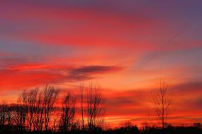 Red sky at sunset near a silhouette of trees