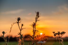 Sunset Autumn Abendstimmung