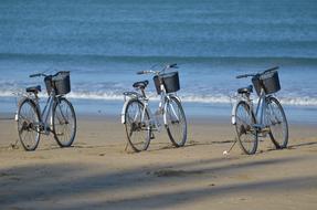 Bicycle Rental Beach
