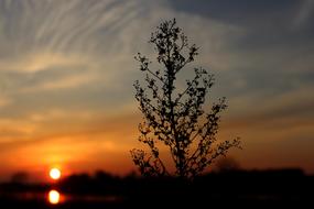 Sunset Nature The Sun
