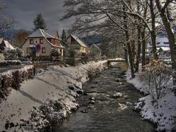 Black Forest Village Bach