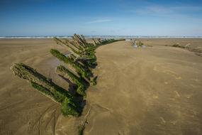 Beach Ocean Wreck