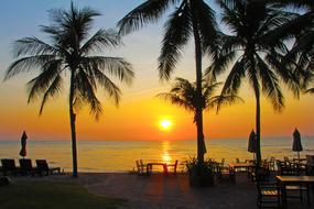 Sea coast at Beautiful sunset