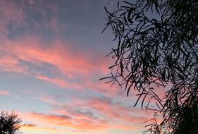 Background Sunset Pink