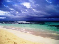 Beach Flamenco in Puerto Rico