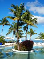 Mauritius Pool Summer Swimming