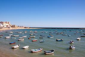 Sea Waters Travel