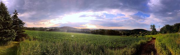 Landscape Field Sunshine