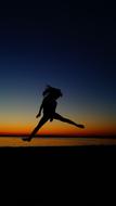 Silhouette Sunset Motion