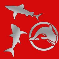 sea animals shark dolphins vector