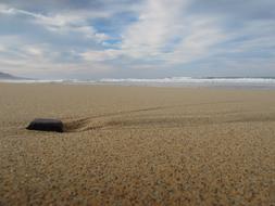 Stone on Sand Beach