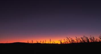 Horizon In The Evening Sunset