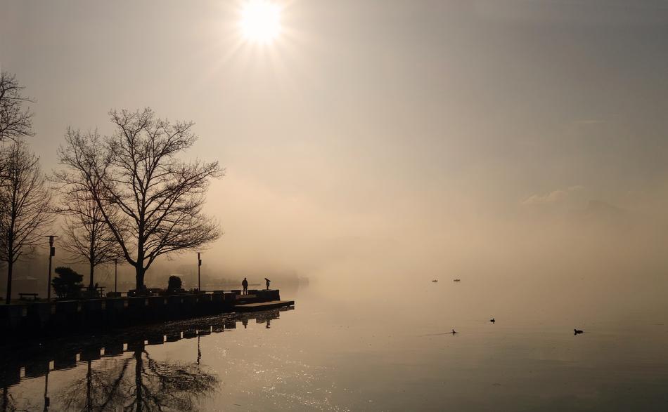 Fog Sun Landscape