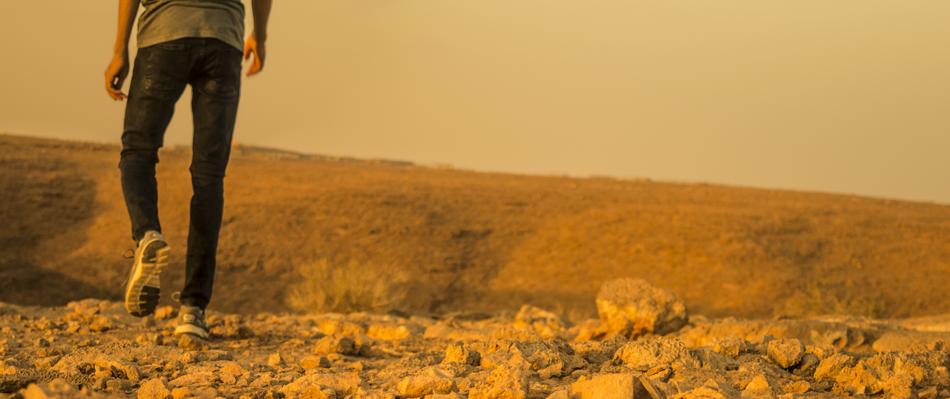 Desert Panoramic Nature