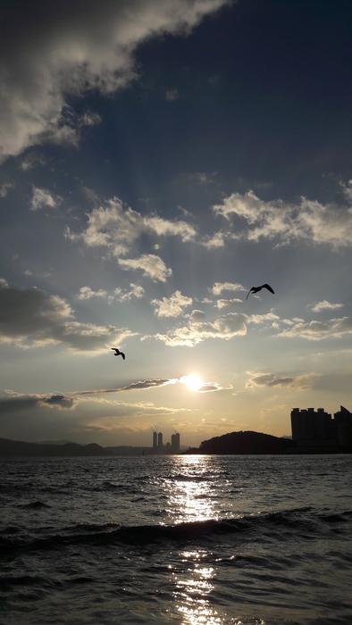 Sea The Night Sky Glow New