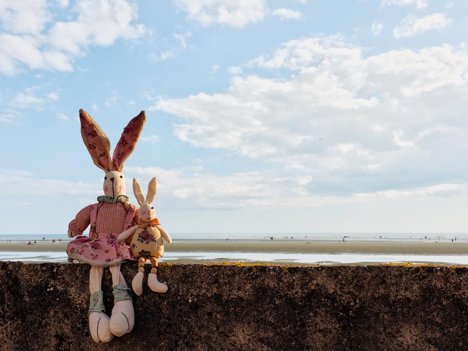 Rabbits Clouds Wall