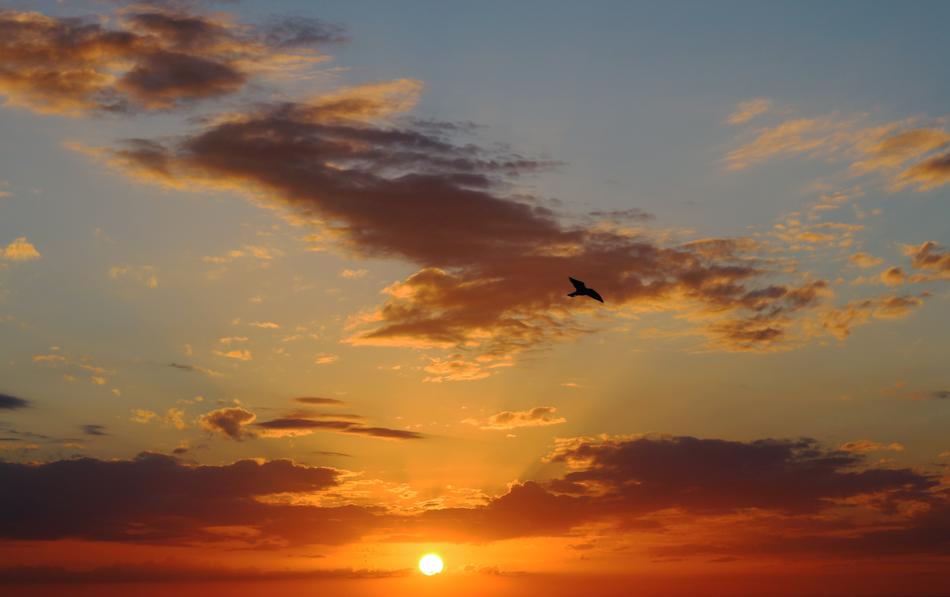 Sunset Sea Landscape