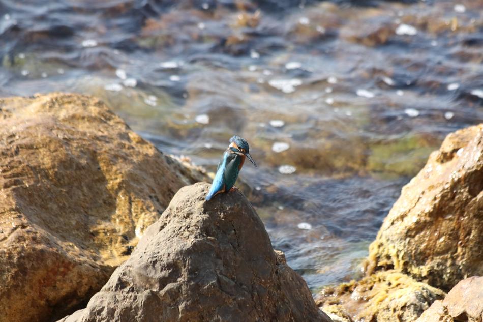 Kingfisher Beach Sea