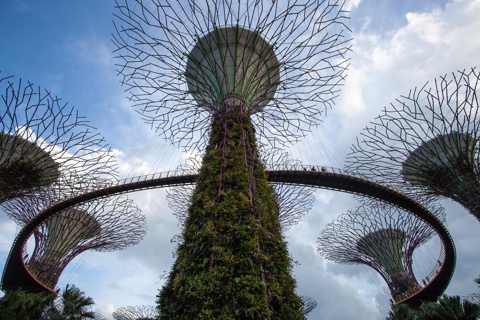 nature park in singapore