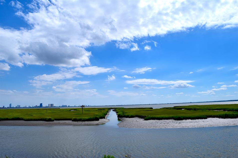 Water Coastline Marshland