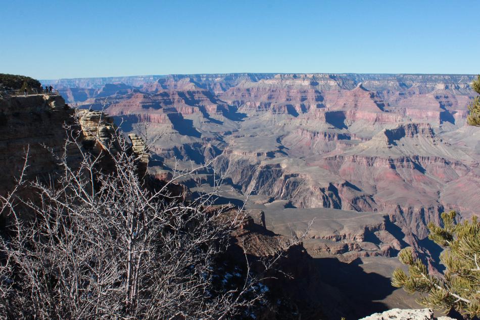 a big canyon with trees