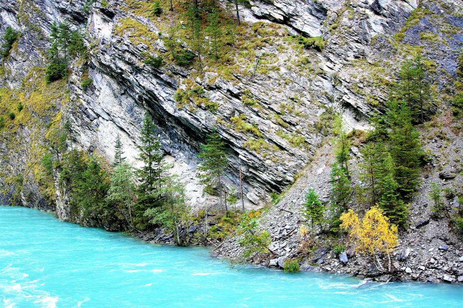 View of the trees on the cliff