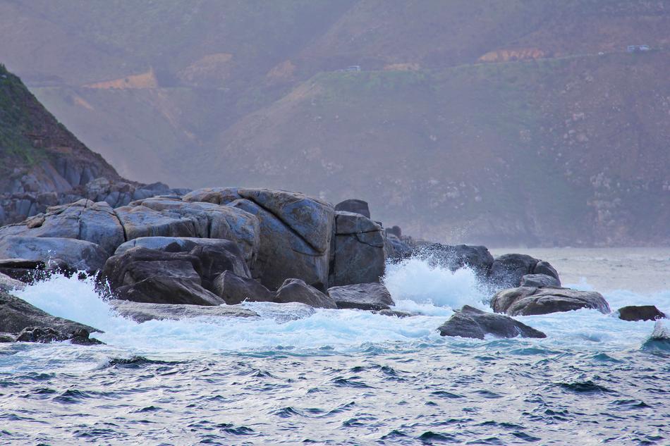 Seal Island Thousands