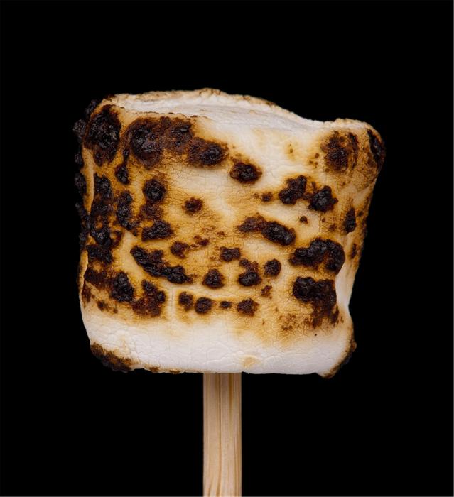 Marshmallow Roasted Toasted