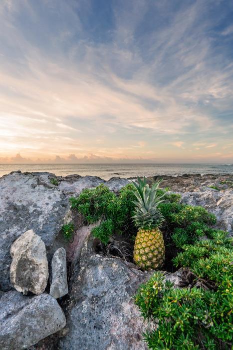 Pineapple Rocks Sunrise Beach