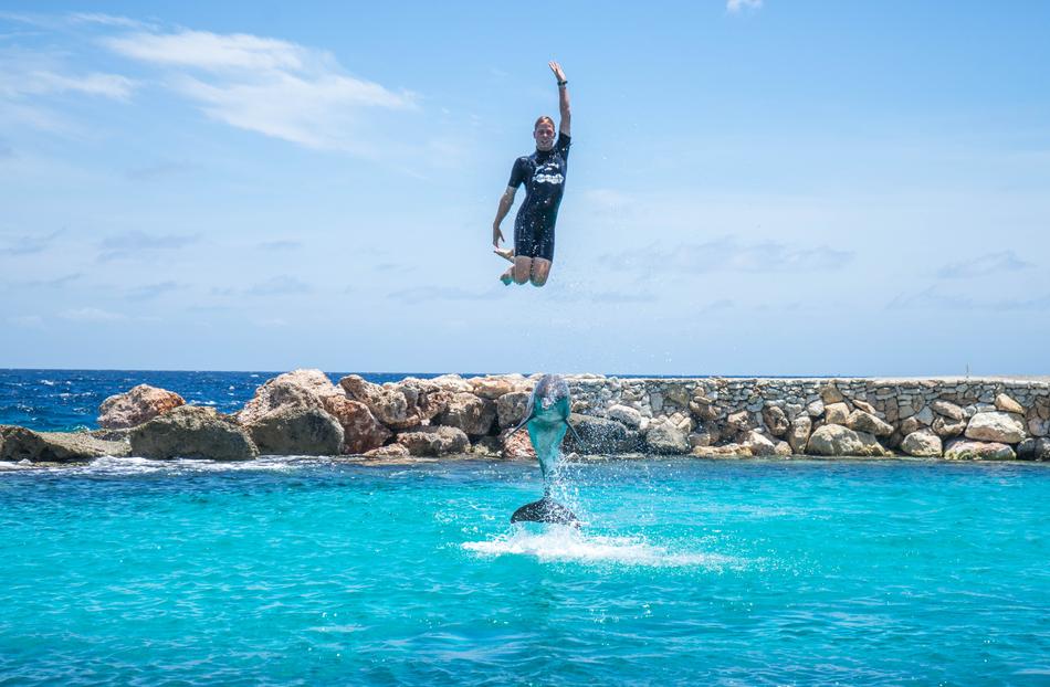 Dolphin Person Entertainment