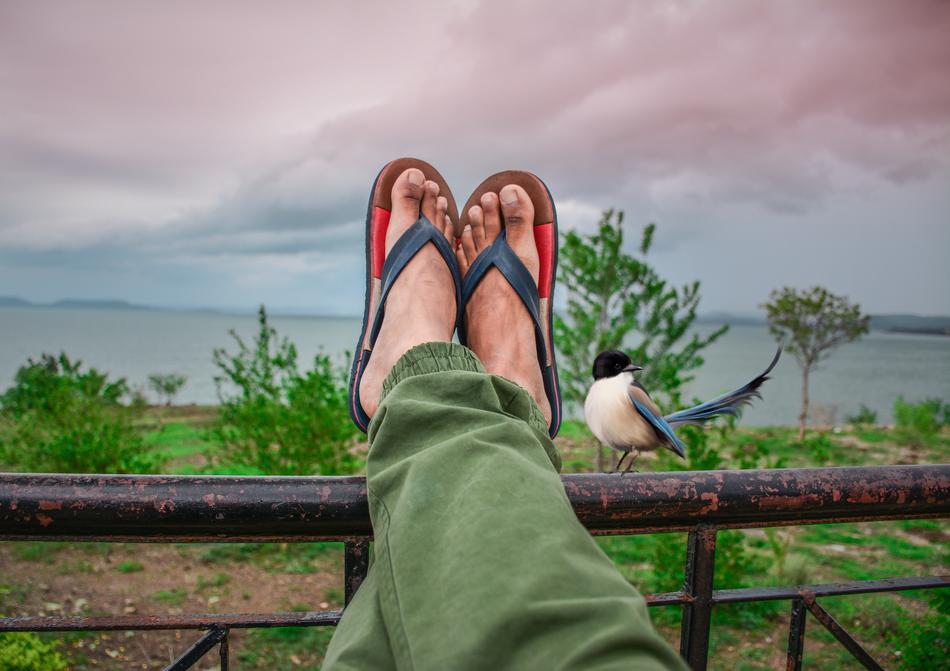 Cozy vacation at the sea