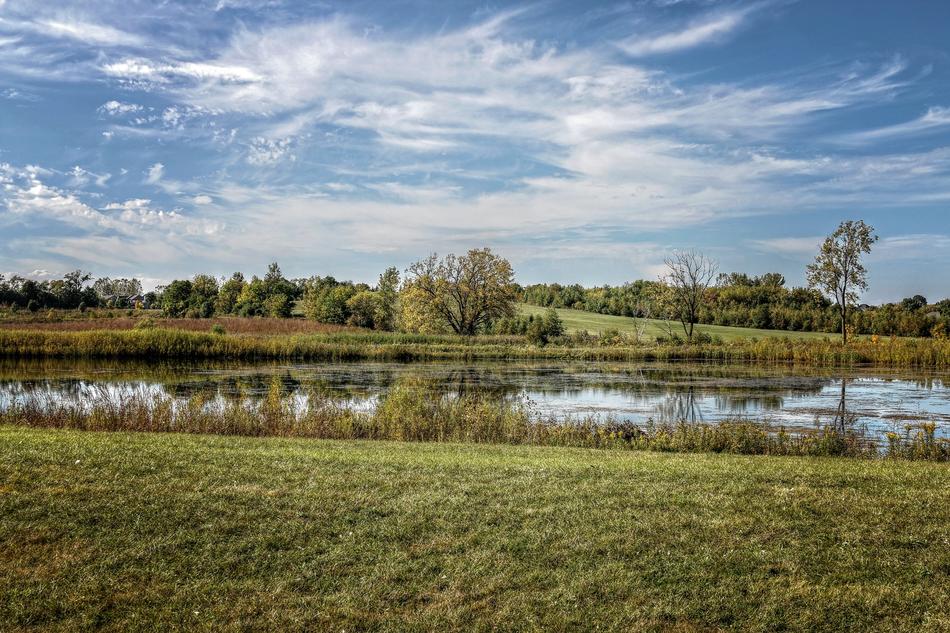 landscape of a calm lake and green grass on the shore