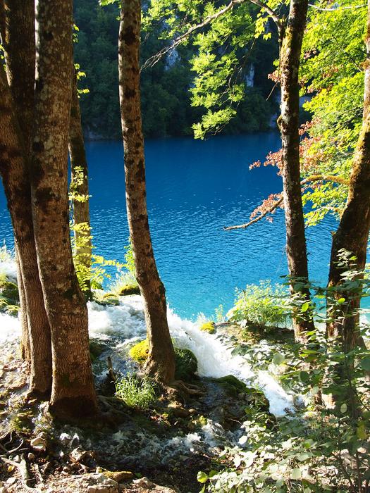 View through the trees to the blue river