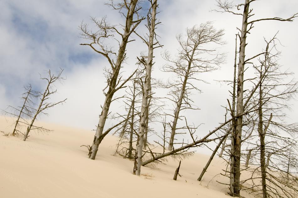 The Sand Dunes Łeba Holidays