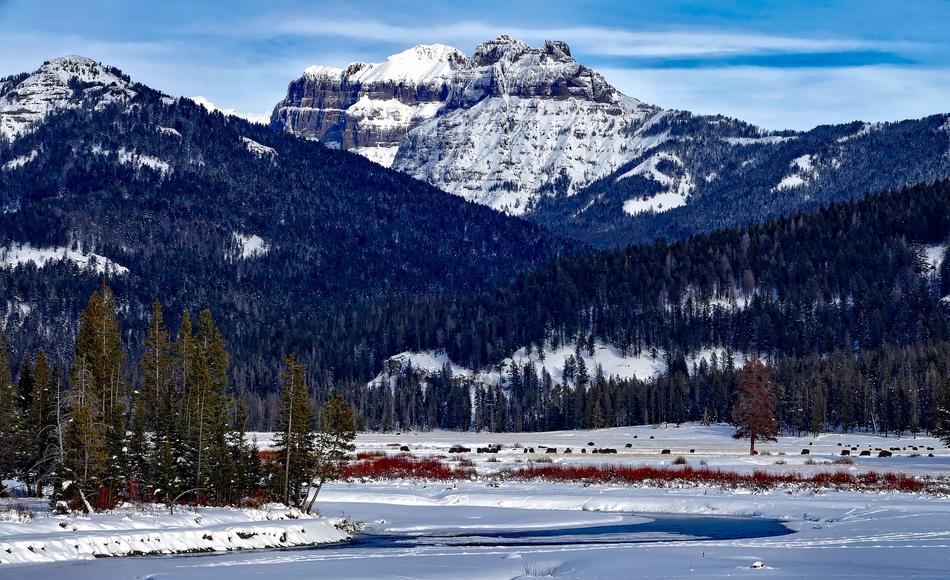Yellowstone National Park Wyoming
